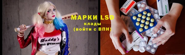 индика Белоозёрский